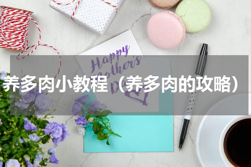 养多肉小教程(养多肉的攻略)