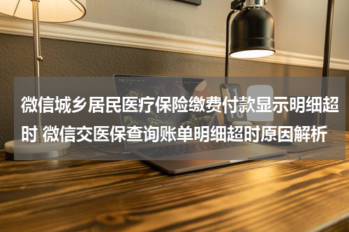 微信城乡居民医疗保险缴费付款显示明细超时 微信交医保查询账单明细超时原因解析