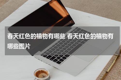 春天红色的植物有哪些 春天红色的植物有哪些图片