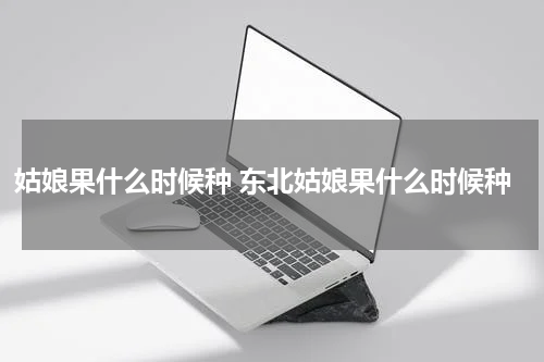 姑娘果什么时候种 东北姑娘果什么时候种