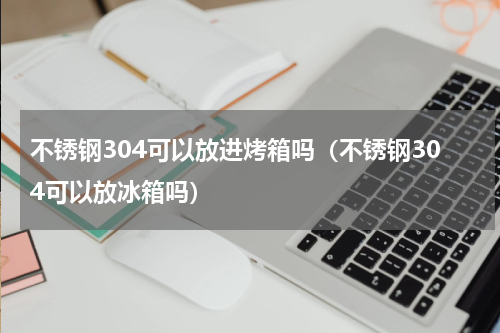 不锈钢304可以放进烤箱吗（不锈钢304可以放冰箱吗）