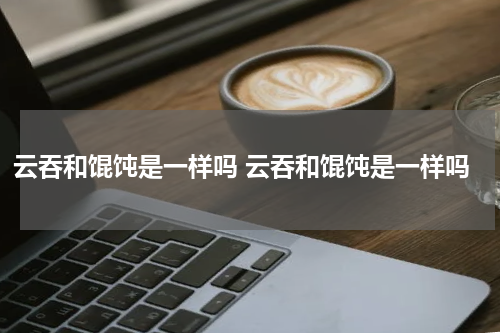 云吞和馄饨是一样吗 云吞和馄饨是一样吗