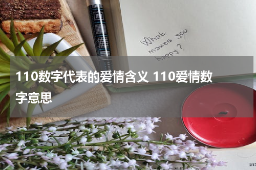 110数字代表的爱情含义 110爱情数字意思