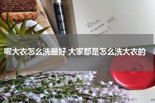 呢大衣怎么洗最好 大家都是怎么洗大衣的