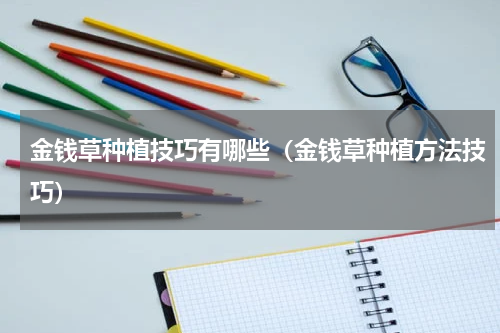 金钱草种植技巧有哪些（金钱草种植方法技巧）