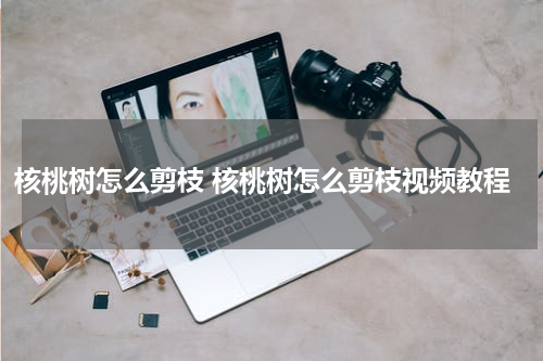 核桃树怎么剪枝 核桃树怎么剪枝视频教程