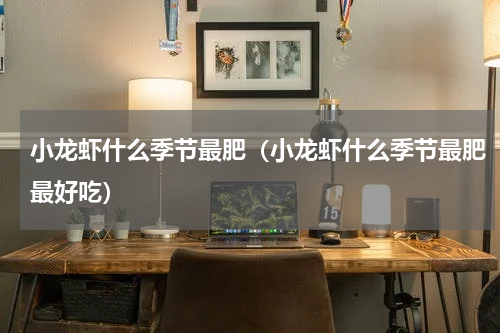 小龙虾什么季节最肥(小龙虾什么季节最肥最好吃)