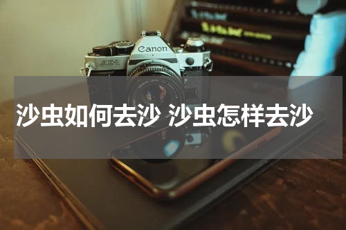 沙虫如何去沙 沙虫怎样去沙