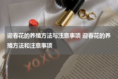 迎春花的养殖方法与注意事项 迎春花的养殖方法和注意事项
