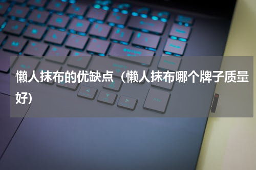 懒人抹布的优缺点（懒人抹布哪个牌子质量好）