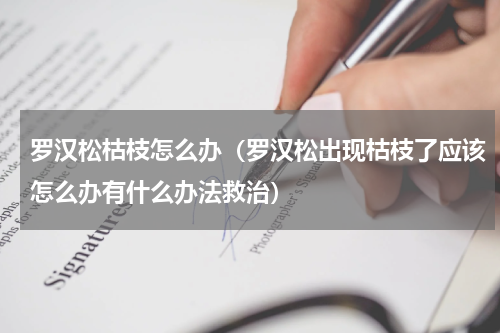 罗汉松枯枝怎么办(罗汉松出现枯枝了应该怎么办有什么办法救治)