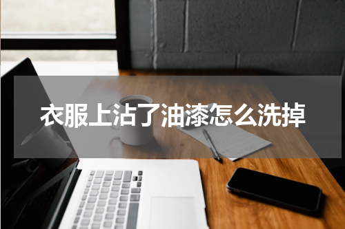 衣服上沾了油漆怎么洗掉