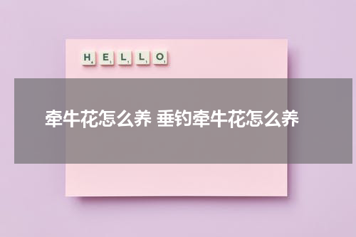 牵牛花怎么养 垂钓牵牛花怎么养