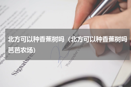 北方可以种香蕉树吗(北方可以种香蕉树吗芭芭农场)