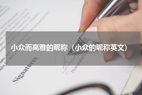 小众而高雅的昵称(小众的昵称英文)