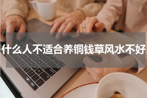 什么人不适合养铜钱草风水不好