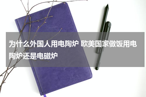 为什么外国人用电陶炉 欧美国家做饭用电陶炉还是电磁炉