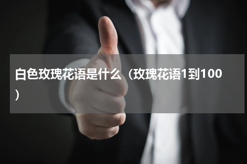 白色玫瑰花语是什么（玫瑰花语1到100）