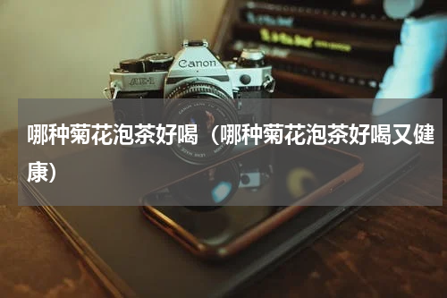 哪种菊花泡茶好喝(哪种菊花泡茶好喝又健康)