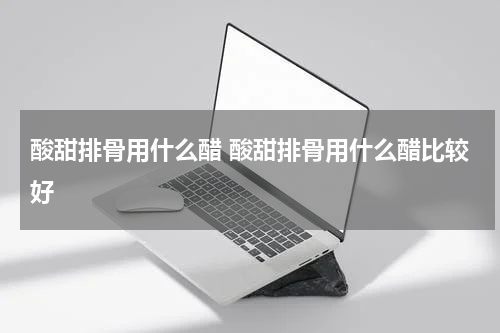 酸甜排骨用什么醋 酸甜排骨用什么醋比较好