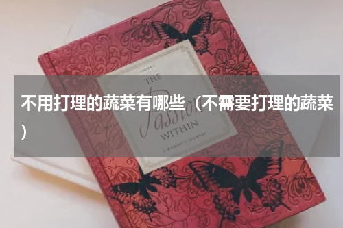 不用打理的蔬菜有哪些(不需要打理的蔬菜)