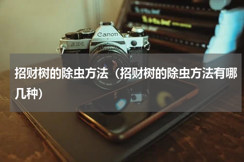 招财树的除虫方法（招财树的除虫方法有哪几种）