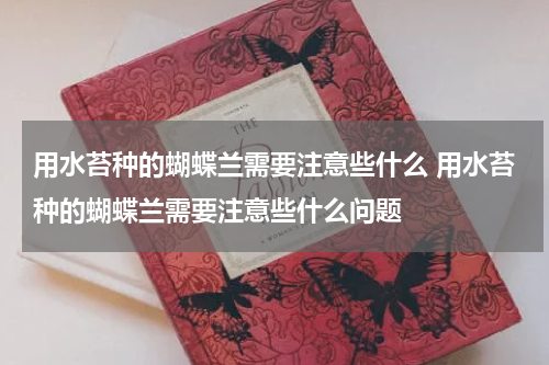 用水苔种的蝴蝶兰需要注意些什么 用水苔种的蝴蝶兰需要注意些什么问题