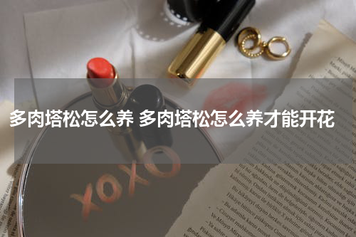 多肉塔松怎么养 多肉塔松怎么养才能开花