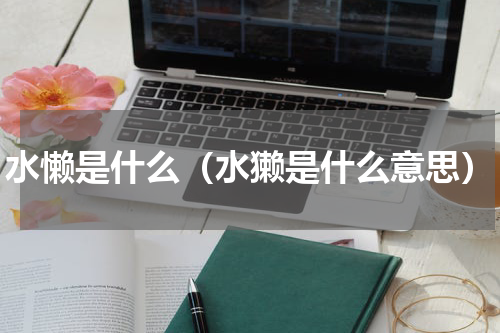 水懒是什么（水獭是什么意思）