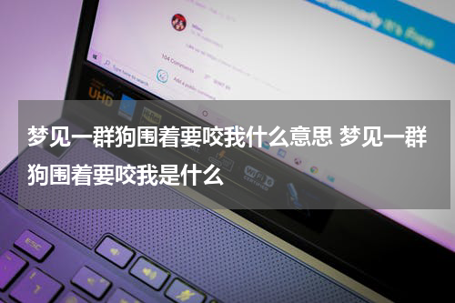 梦见一群狗围着要咬我什么意思 梦见一群狗围着要咬我是什么