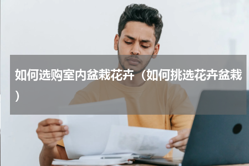 如何选购室内盆栽花卉(如何挑选花卉盆栽)