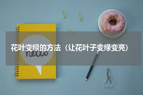 花叶变绿的方法（让花叶子变绿变亮）