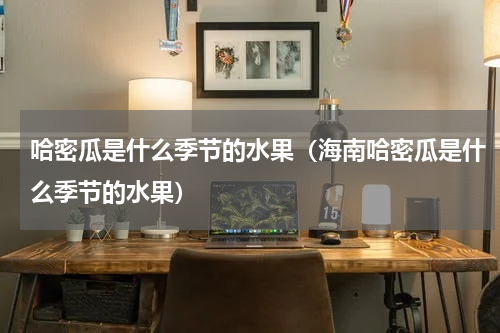 哈密瓜是什么季节的水果(海南哈密瓜是什么季节的水果)