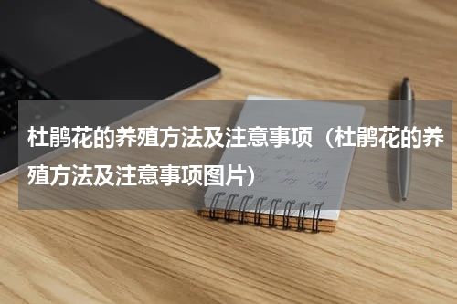 杜鹃花的养殖方法及注意事项(杜鹃花的养殖方法及注意事项图片)