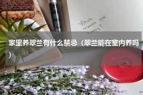 家里养翠兰有什么禁忌（翠兰能在室内养吗）