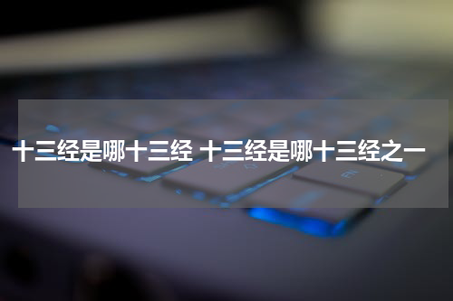 十三经是哪十三经 十三经是哪十三经之一