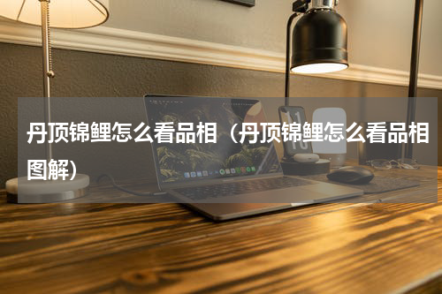 丹顶锦鲤怎么看品相(丹顶锦鲤怎么看品相图解)