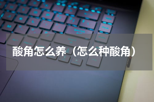 酸角怎么养(怎么种酸角)