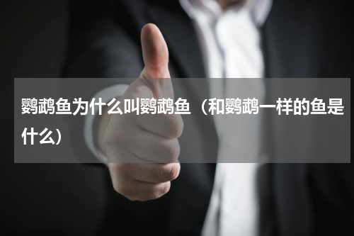 鹦鹉鱼为什么叫鹦鹉鱼（和鹦鹉一样的鱼是什么）