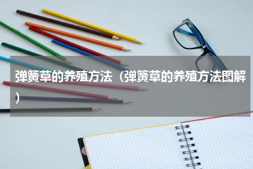 弹簧草的养殖方法（弹簧草的养殖方法图解）