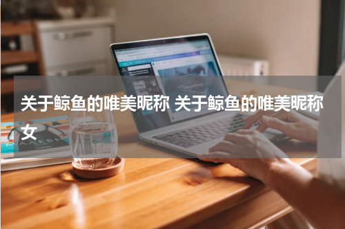 关于鲸鱼的唯美昵称 关于鲸鱼的唯美昵称女