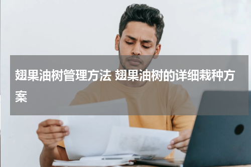 翅果油树管理方法 翅果油树的详细栽种方案