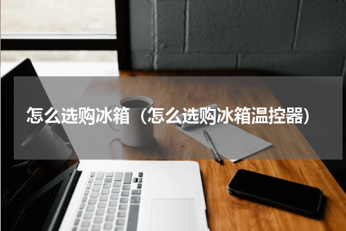 怎么选购冰箱（怎么选购冰箱温控器）