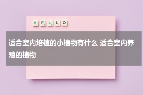 适合室内培植的小植物有什么 适合室内养殖的植物