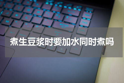 煮生豆浆时要加水同时煮吗