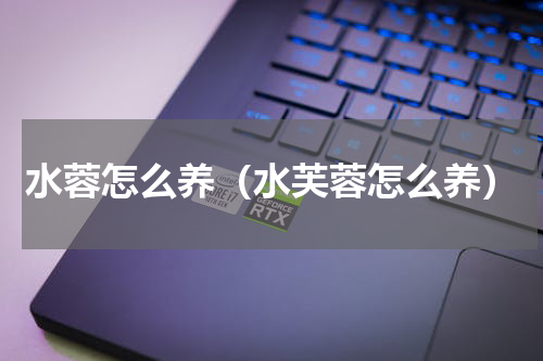 水蓉怎么养（水芙蓉怎么养）