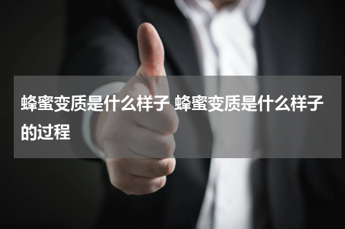 蜂蜜变质是什么样子 蜂蜜变质是什么样子的过程