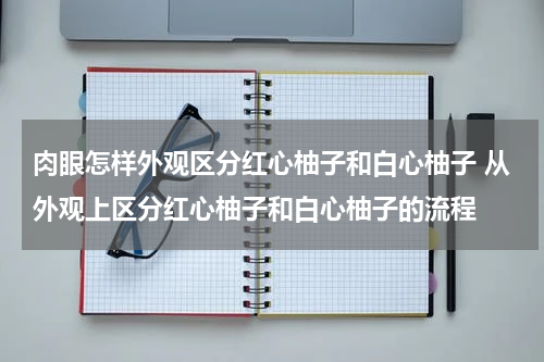 肉眼怎样外观区分红心柚子和白心柚子 从外观上区分红心柚子和白心柚子的流程