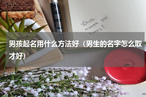 男孩起名用什么方法好（男生的名字怎么取才好）