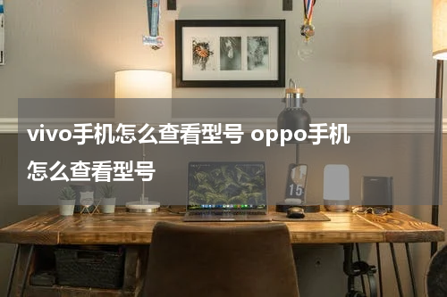 vivo手机怎么查看型号 oppo手机怎么查看型号